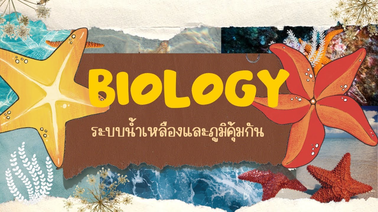 ชีววิทยา: น้ำเหลืองและภูมิคุ้มกัน Part 1/1