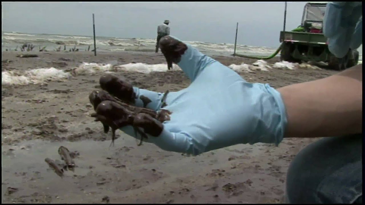 One Man Takes on -- And Funds -- Mission to Clean Up Gulf