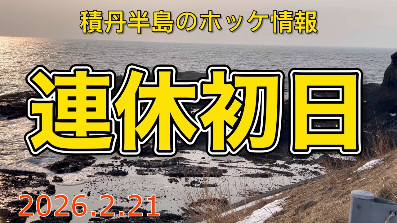 連休初日【積丹半島のホッケ情報　2026.2.21】