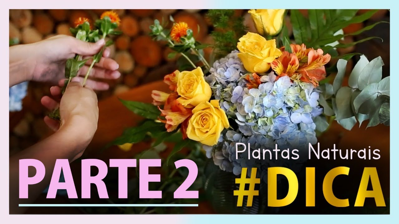 Como fazer arranjo Orgânico natural - É assim que EU faço! | Parte 2