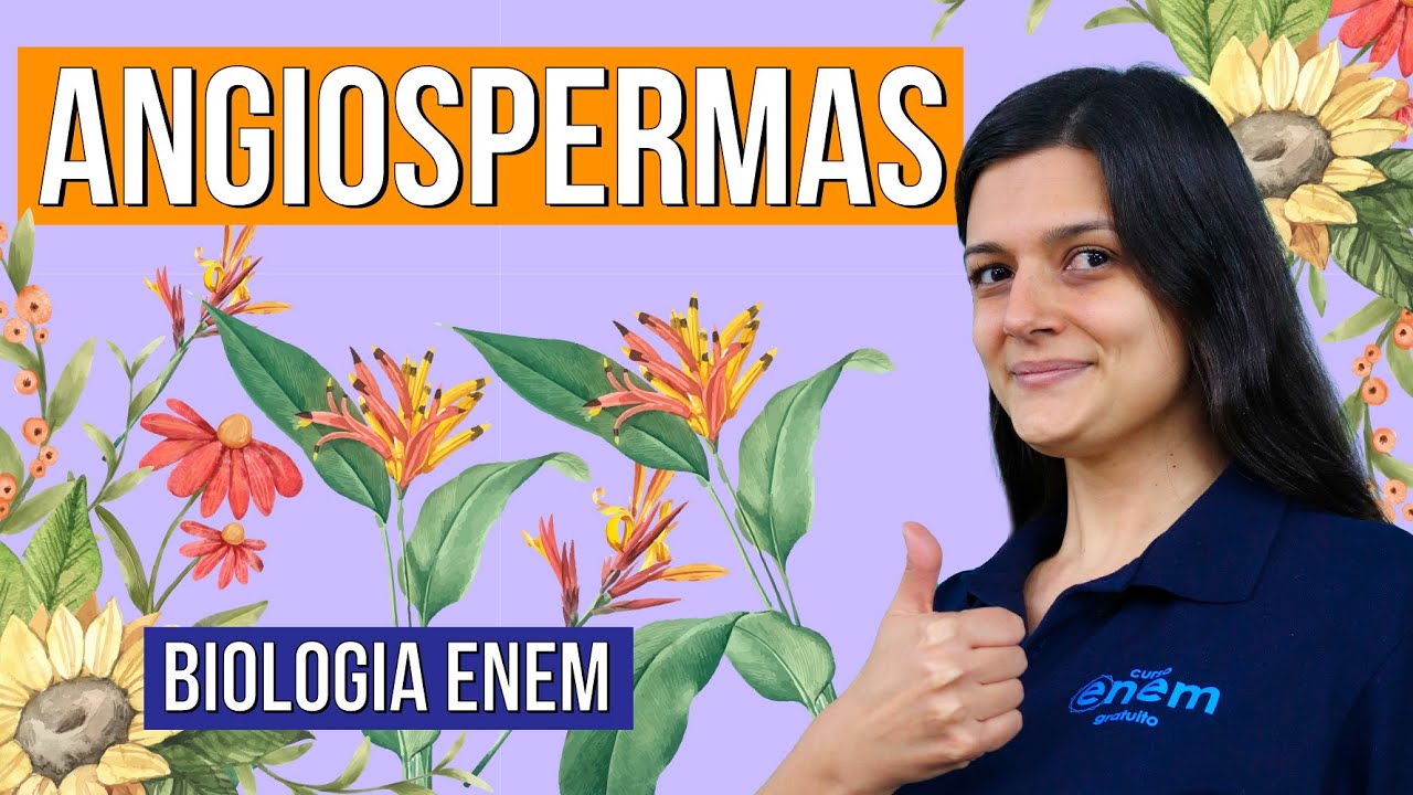 ANGIOSPERMAS: veja as caracter&iacute;sticas destas plantas. RESUMO DE BIOLOGIA ENEM. Profa Claudia Aguiar
