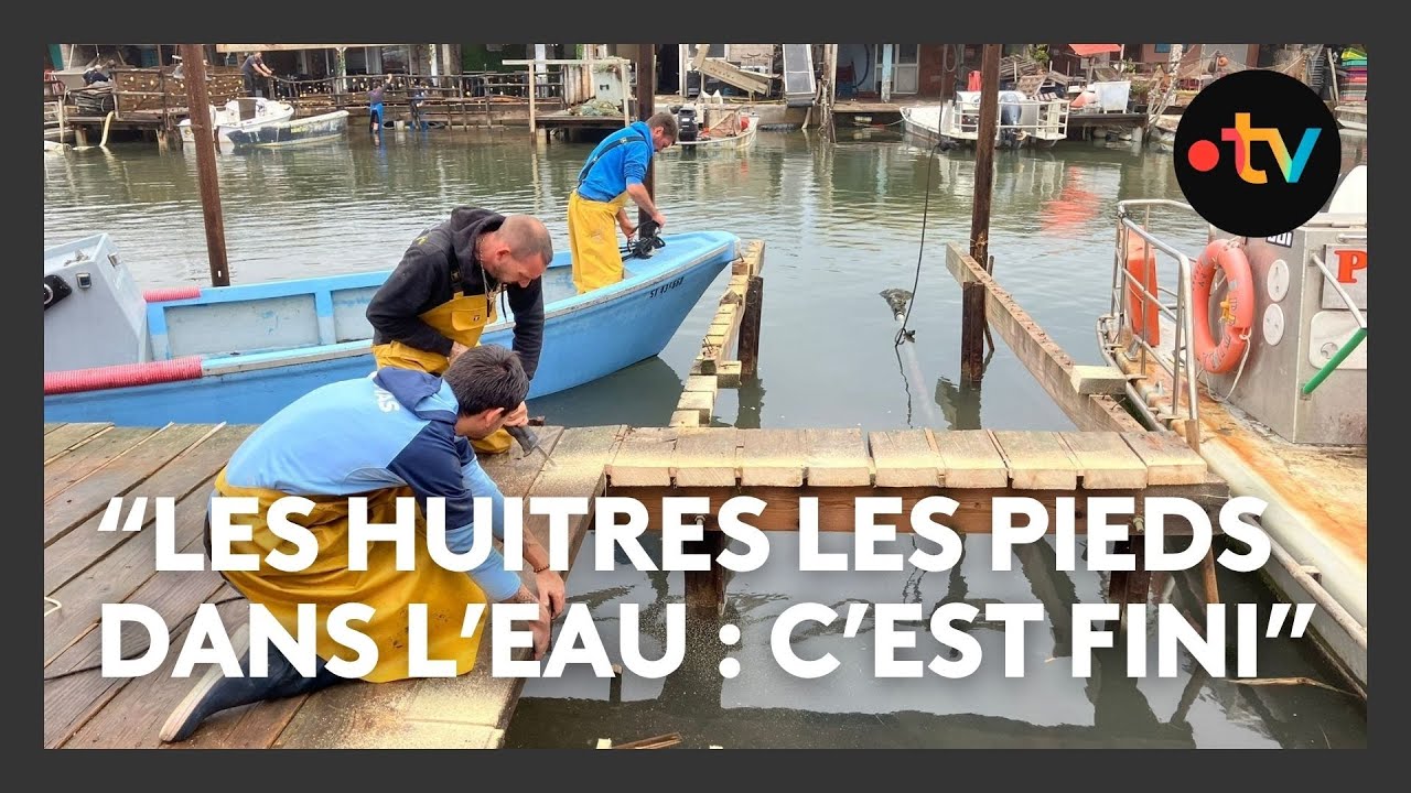 Les pontons de Leucate retir&eacute;s