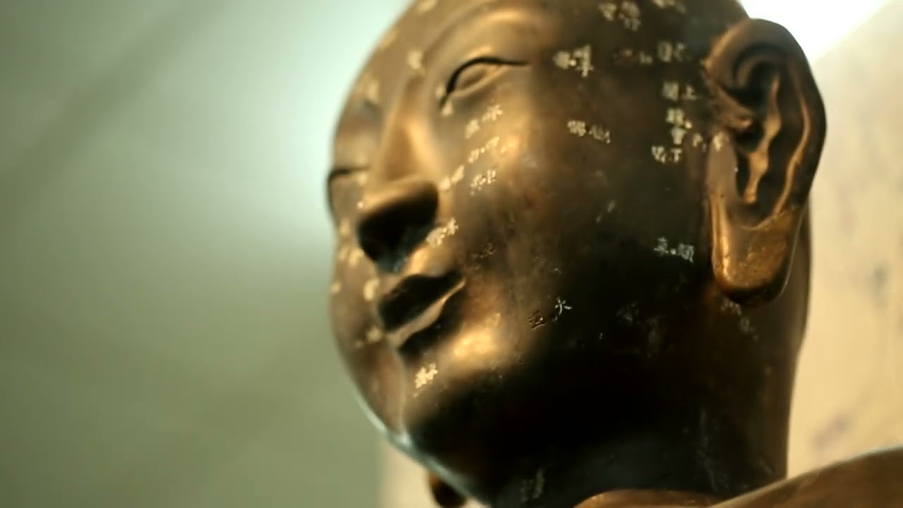 北京中医药大学：中医药博物馆