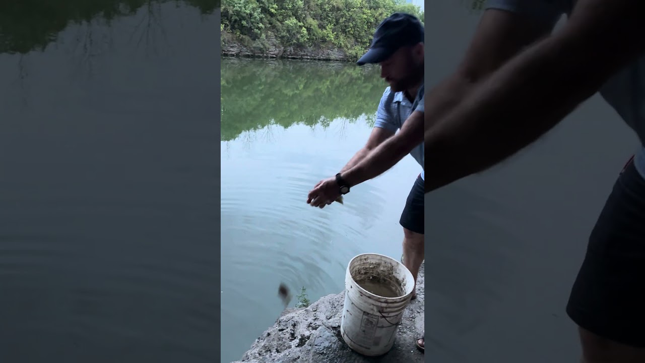 #fishing #sport #new #nature #fish