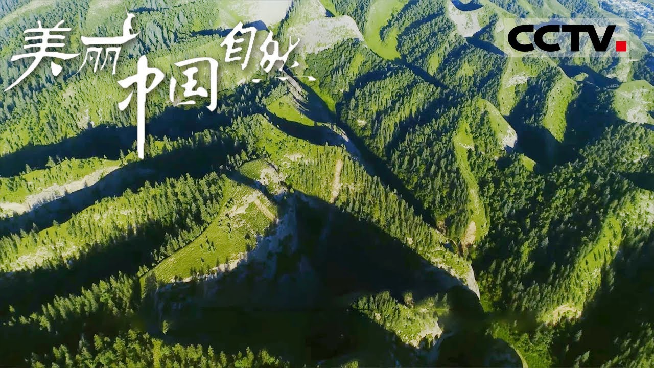 【ENG】速来祁连山 这里从山谷到山顶有不同的风貌 用无人机拍照一绝！《美丽中国自然》祁连山系列【CCTV纪录】