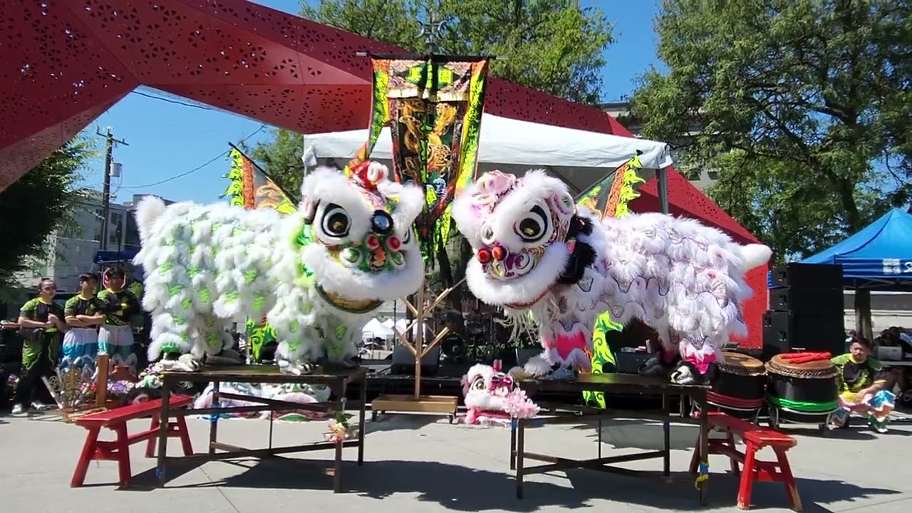 Two Lions Walk Into Chinatown and Solve a Puzzle