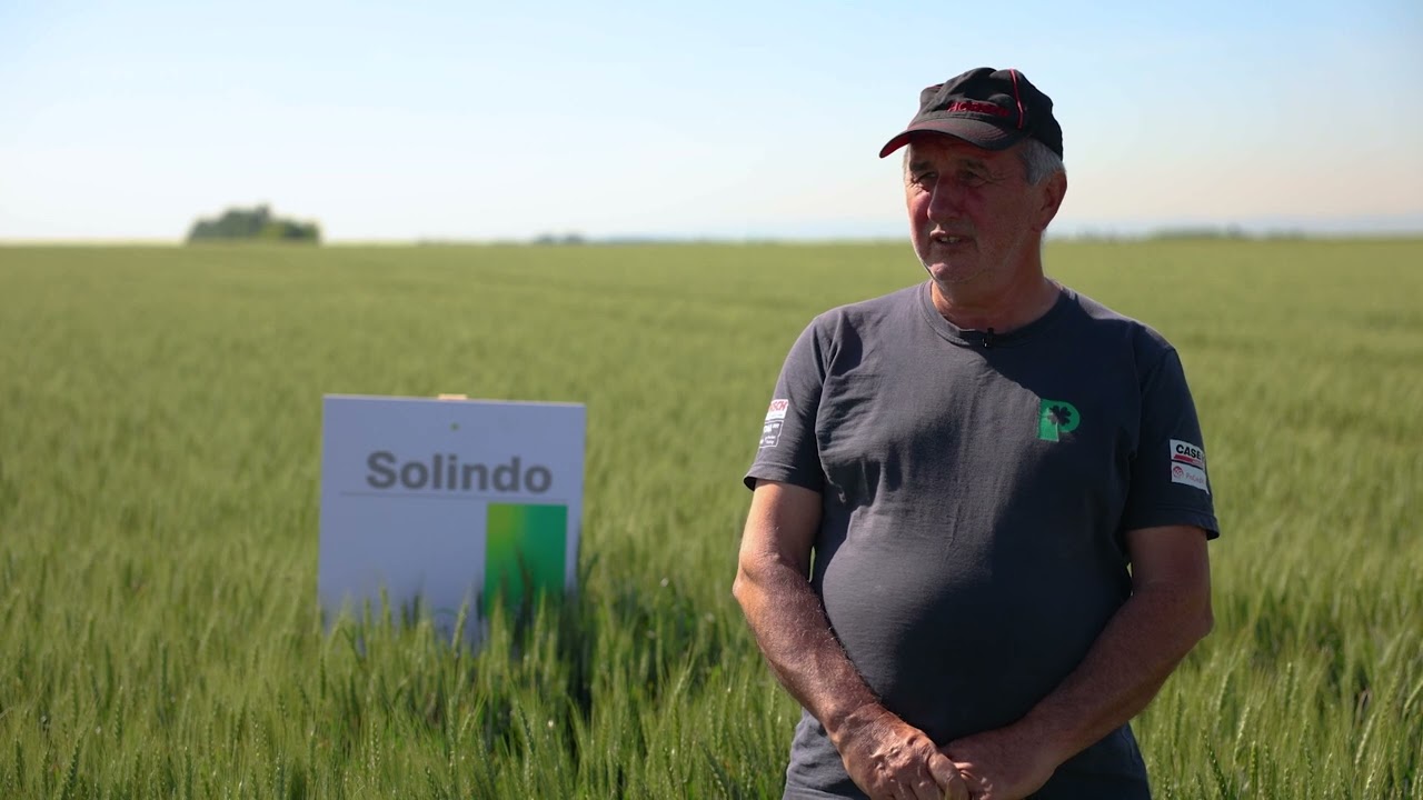 Agromarket sorte strnih žita - LG ASTERION I SOLINDO 2024