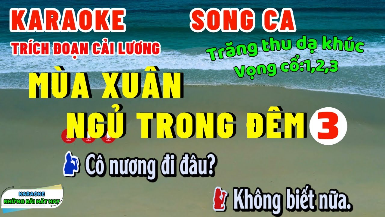 Karaoke Trích Đoạn MÙA XUÂN NGỦ TRONG ĐÊM 3 | Song Ca, Trăng thu dạ khúc, vọng cổ 1,2,3