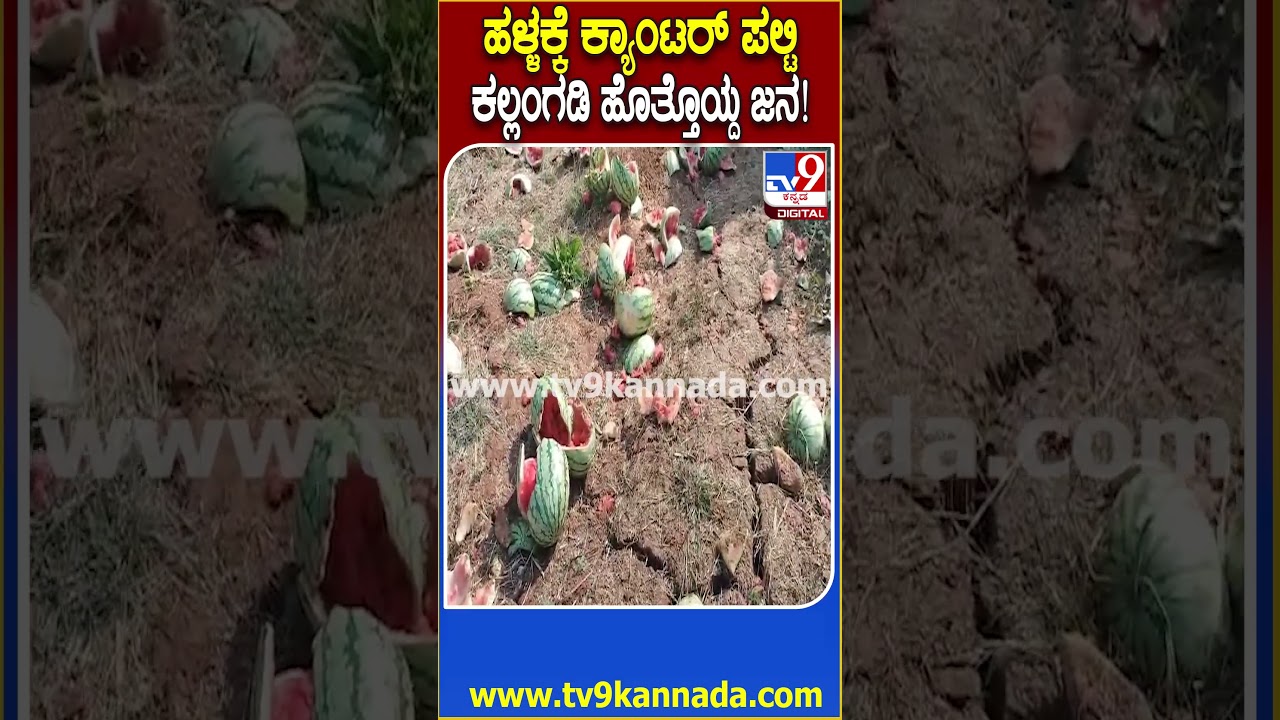 Watermelon Canter Accident: ದೊಡ್ಡಬಳ್ಳಾಪುರ ಬಳಿ ಕಲ್ಲಂಗಡಿ ಕ್ಯಾಂಟರ್ ಪಲ್ಟಿ, ಹಣ್ಣು ಹೊತ್ತೊಯ್ದ ಜನ! | #TV9D