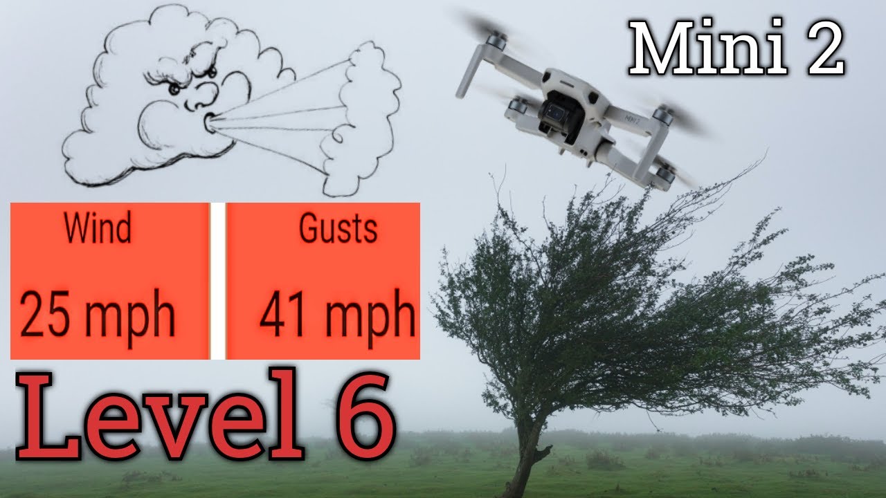 DJI Mini 2 High Wind Test/ Viewer Discretion Advised!!!!!!