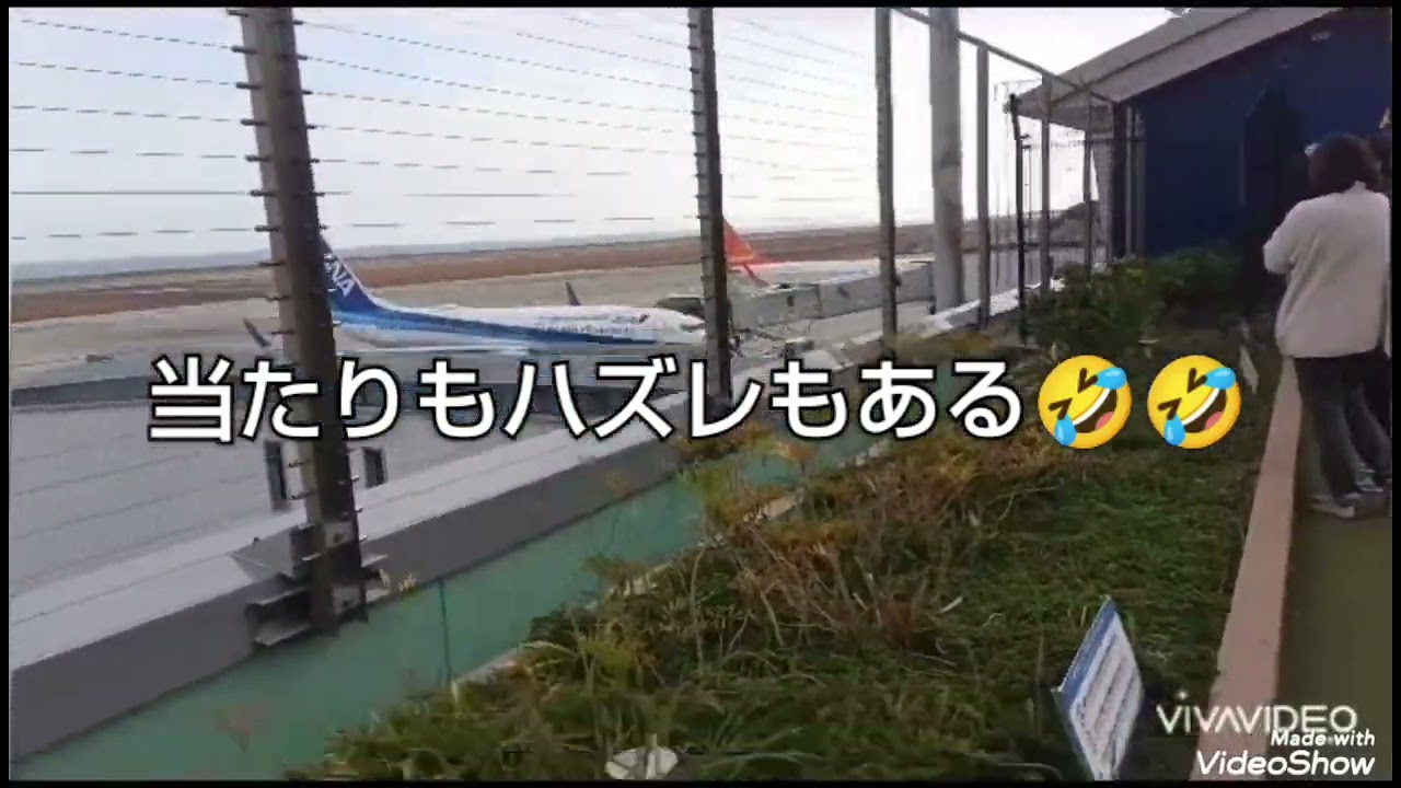 期間限定大分ハローキティ空港　コタちゃん入れない留守番残念でした