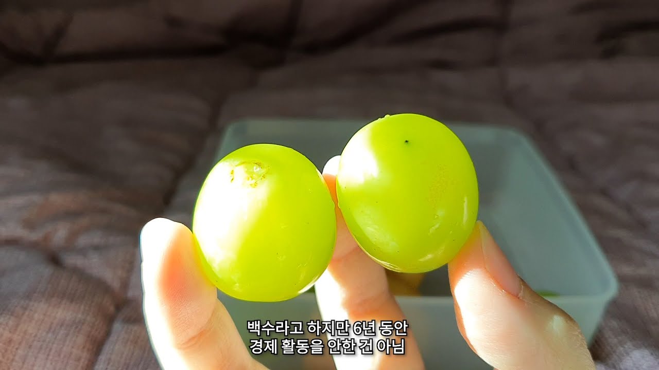 [브이로그#1] 취업하기 싫은 30대 백수의 하루 | 백수 일상