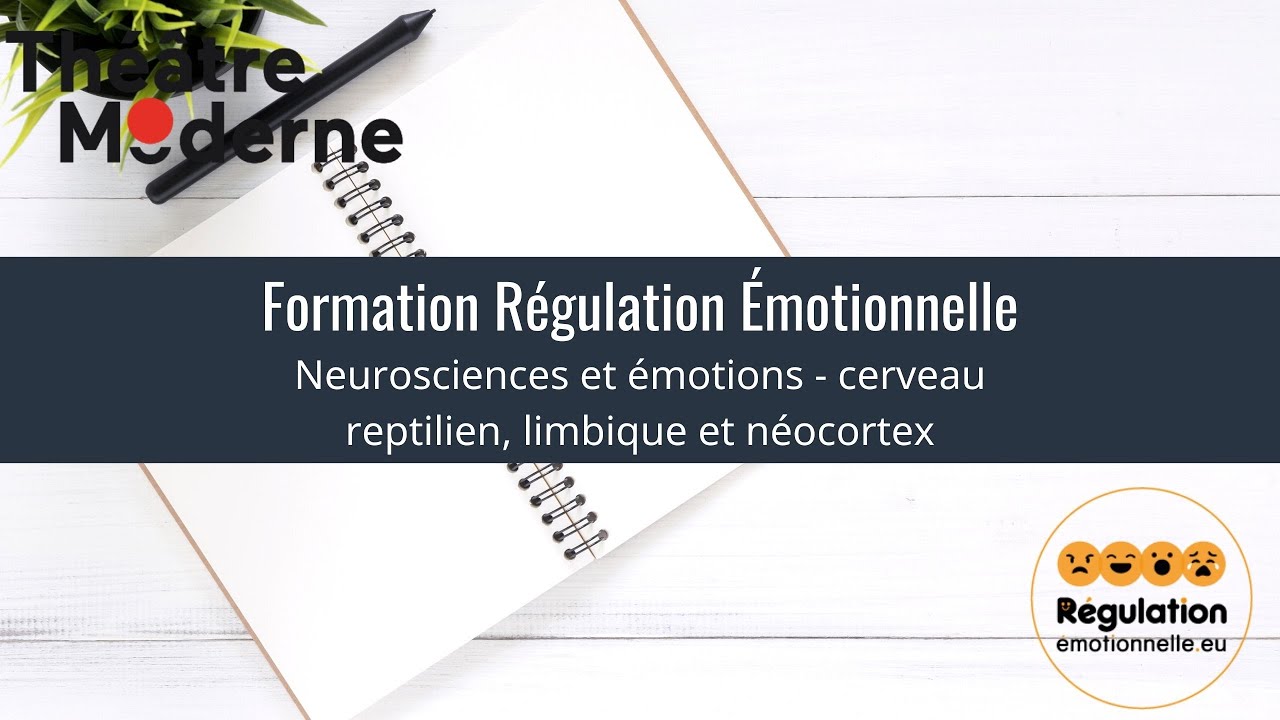 Formation Régulation émotionnelle : neurosciences, émotions, cerveau reptilien, limbique, néocortex