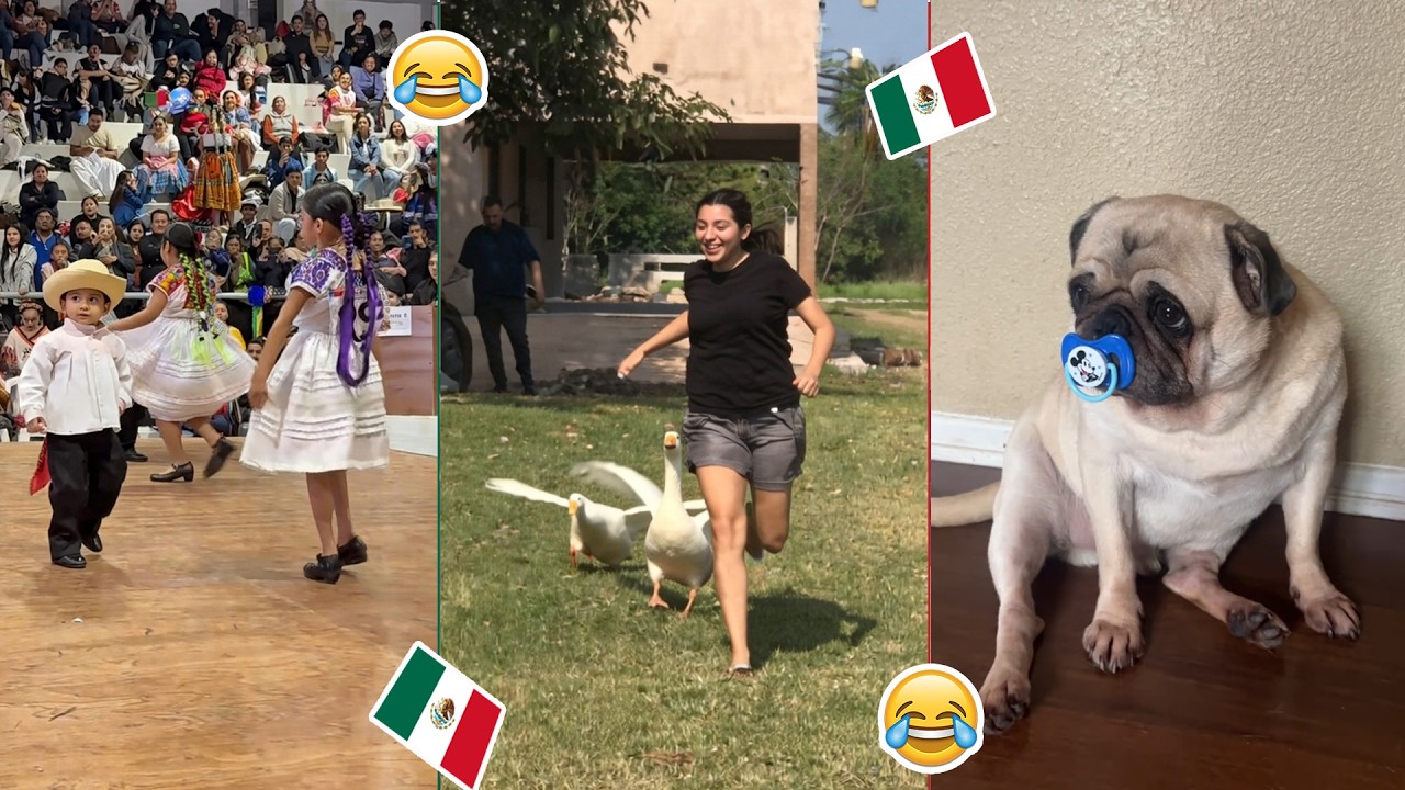 🚨 HUMOR VIRAL MEXICANO 😂 (SI TE RIES PIERDES) | EL NEZY
