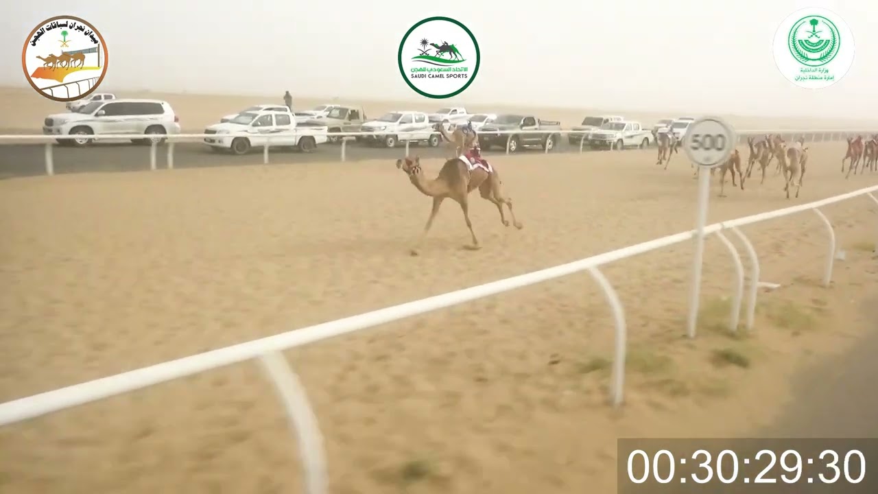 ٢٣/ بكار مفاريد/ ١٢٠٠م/ دهامه/ ناصر سالم الكربي