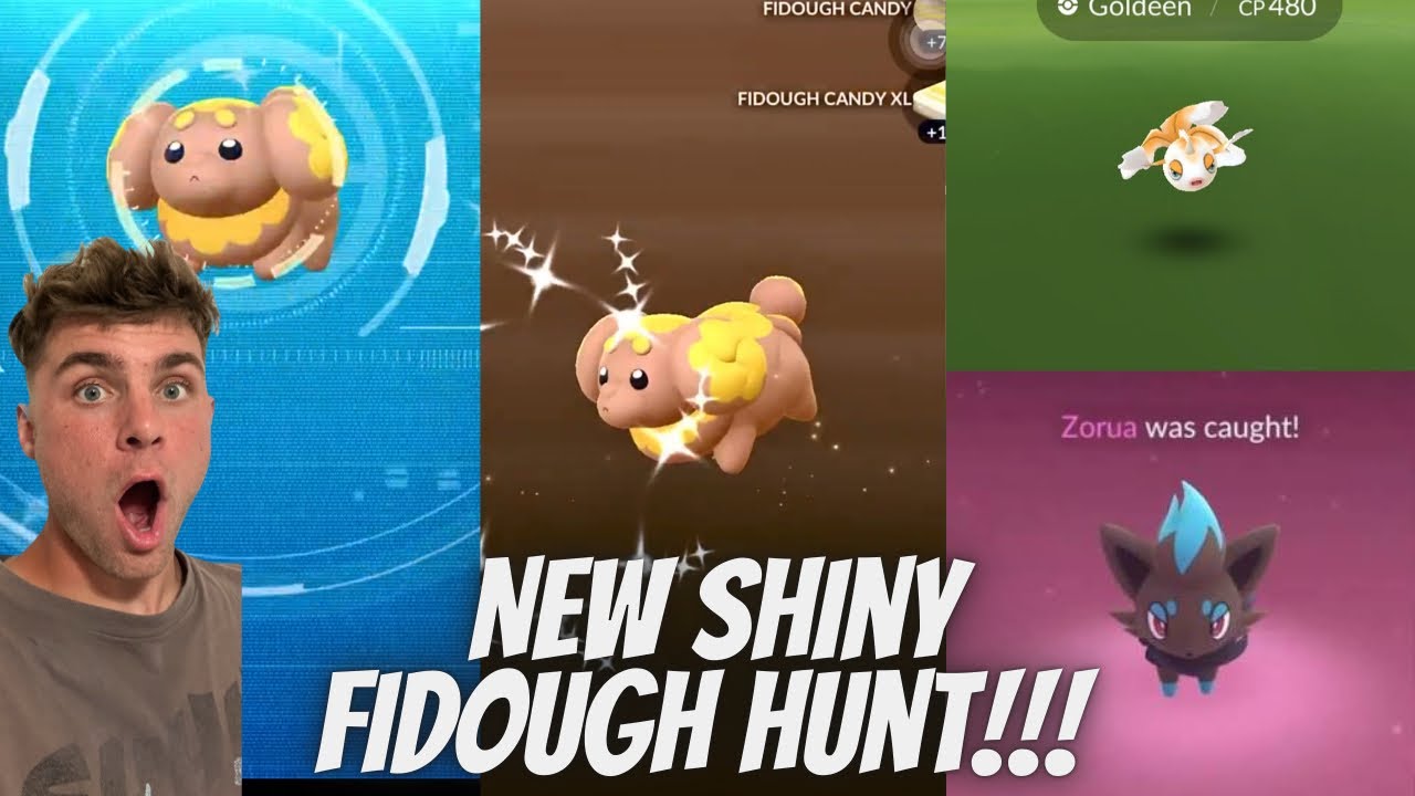 ✨NEW Shiny Fidough and Shiny Zorua Hunt LIVE In Pokemon Go!✨