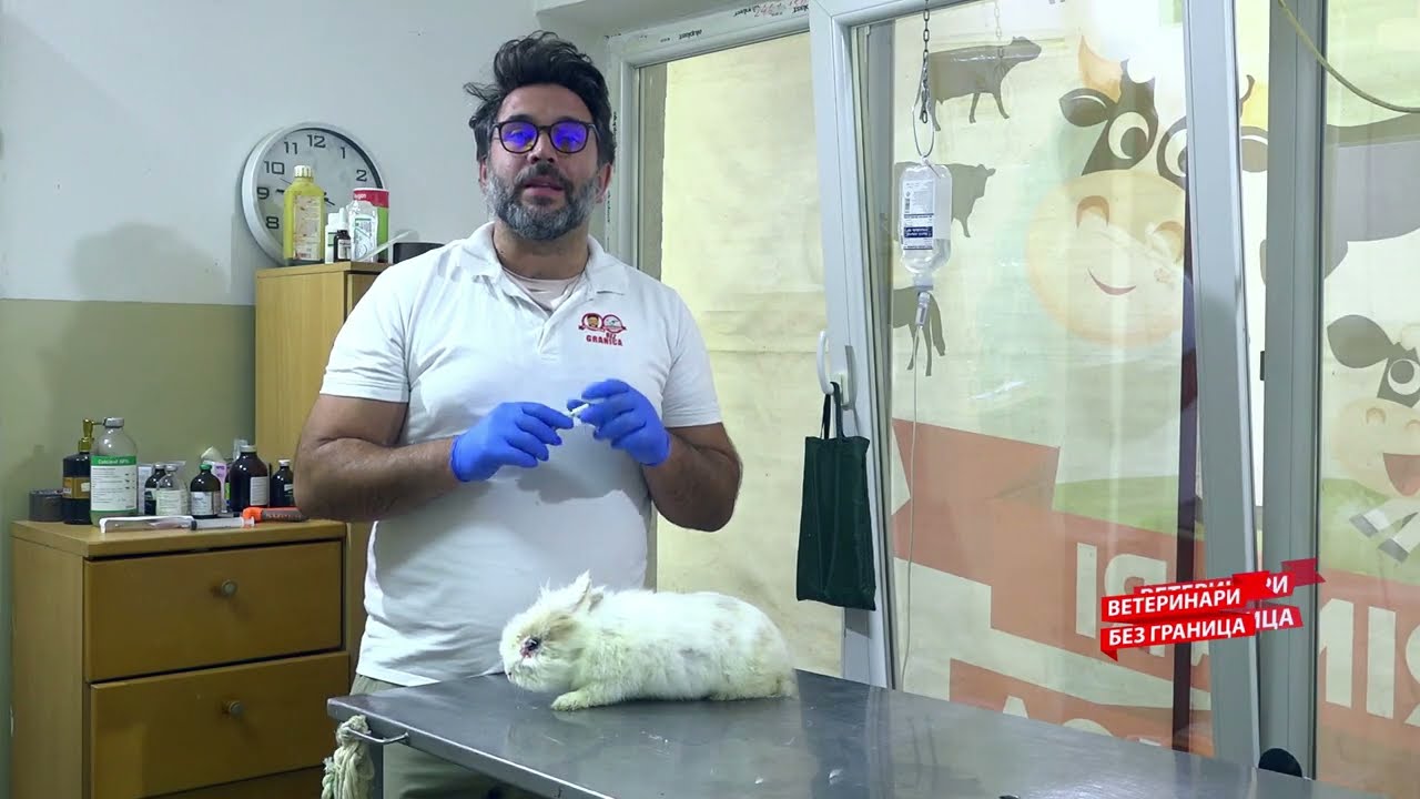 Veterinari bez granica ep. 350 21.01.2026.