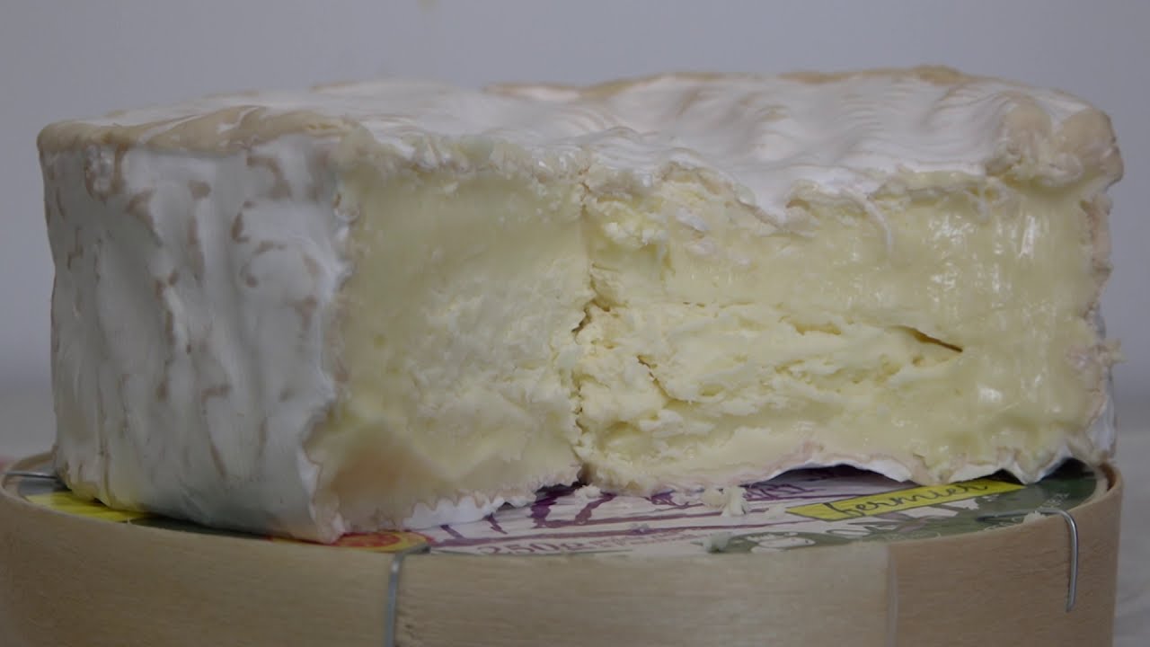 Découvrez les secrets d’un camembert normand BIO et AOP !