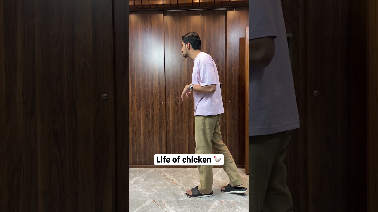 Accurate right!? 🤣 #shorts #ahmedmasood #mimicry #chicken #birds #ytshorts #viral