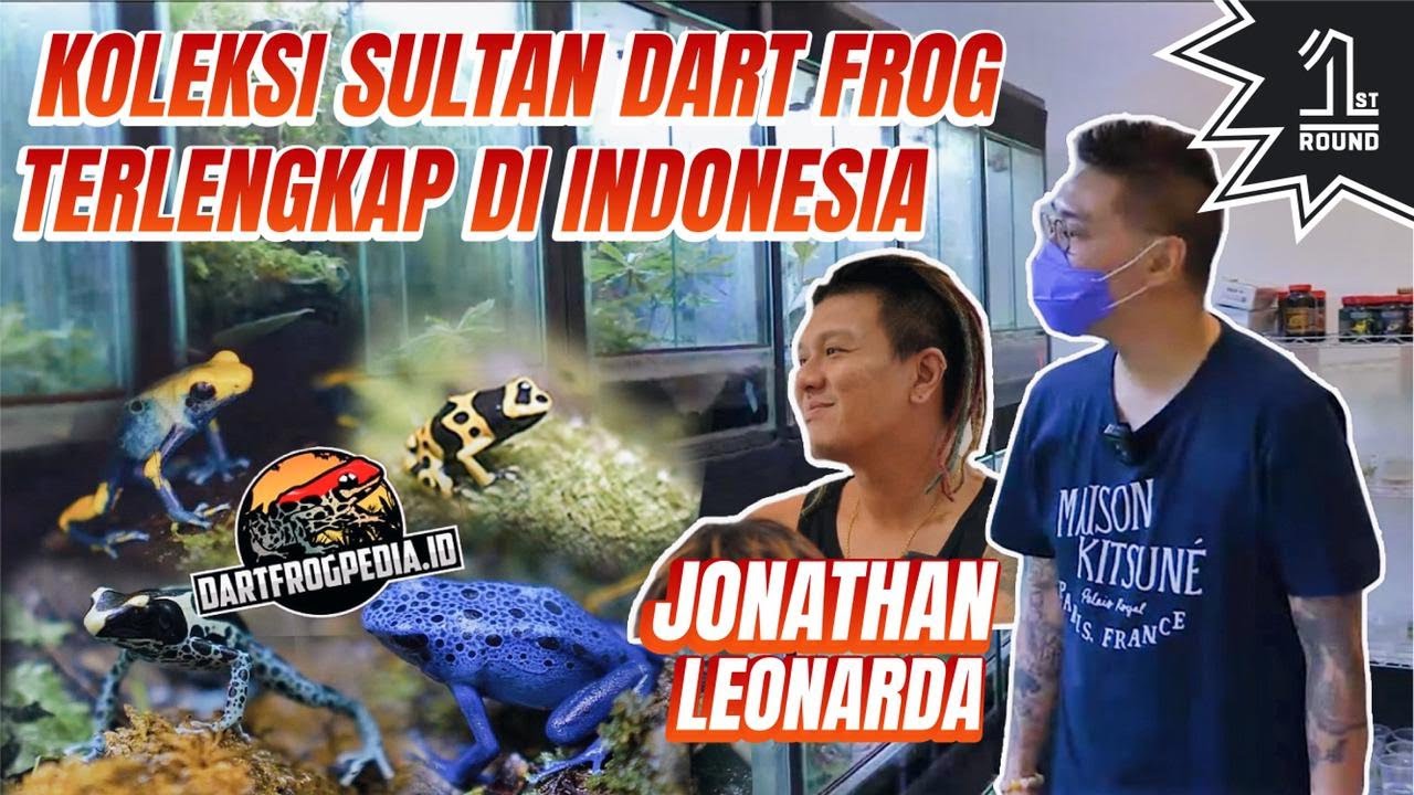 Gokil!! Koleksi Sultan 'Kodok' Dartfrogpedia.id Jonatahan Leonarda!! Dart Frog nya Ratusan Juta!!