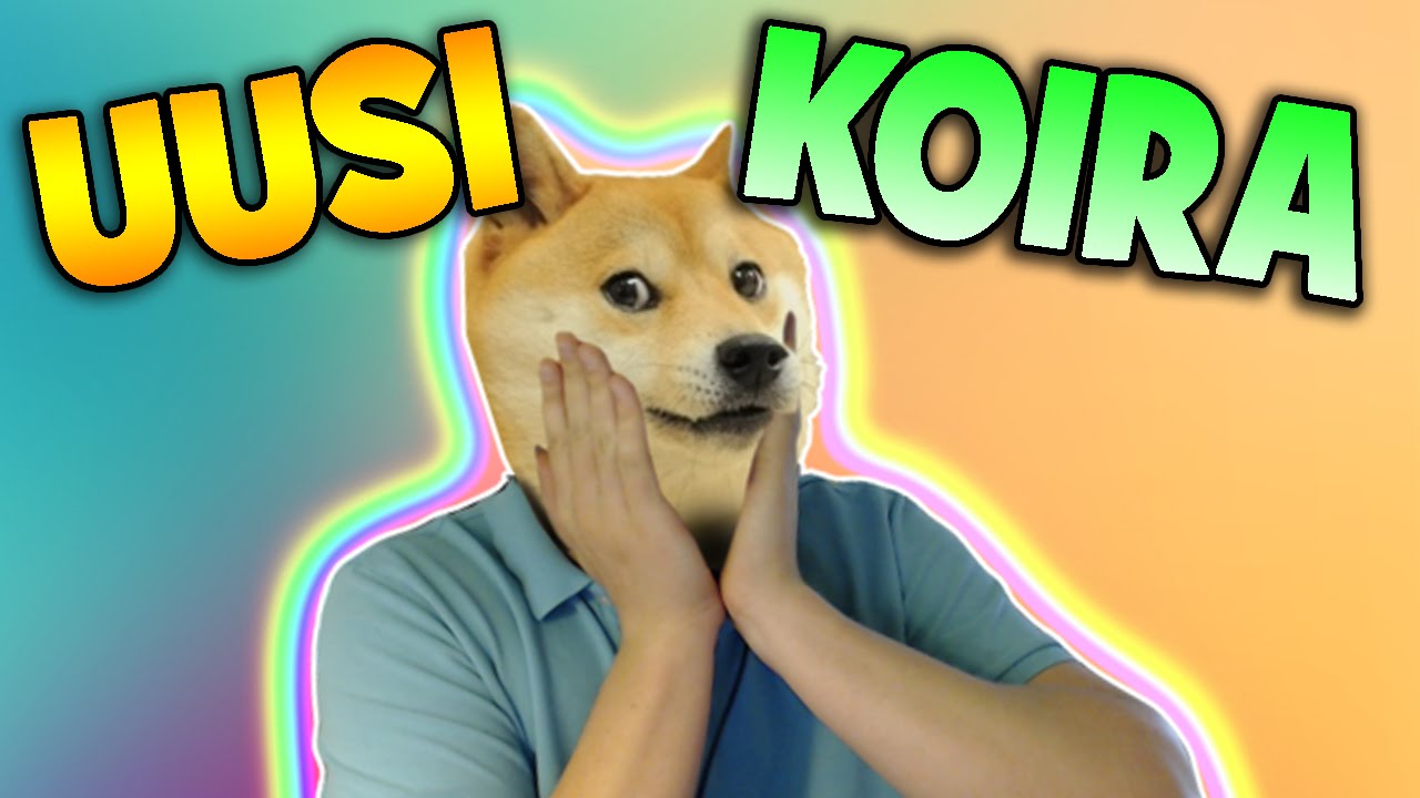 HANKITTIIN UUSI KOIRA!!