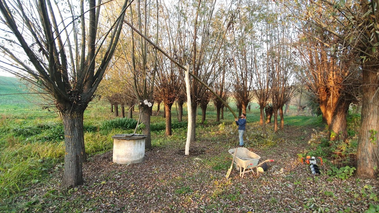 Am făcut cumpăna la fântâna de langa căsuța din pădure! Ziua 72