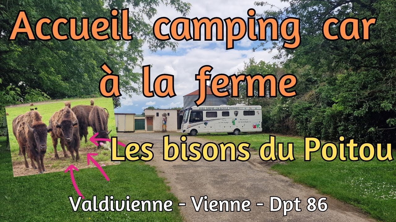 L'aire de camping car - Accueil  à la ferme des Bisons du Poitou, à Valdivienne en Haute-Vienne