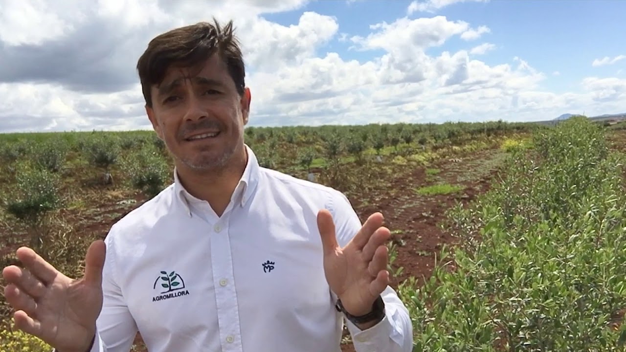 La Revolución del Olivar de Secano | Conferencia Online