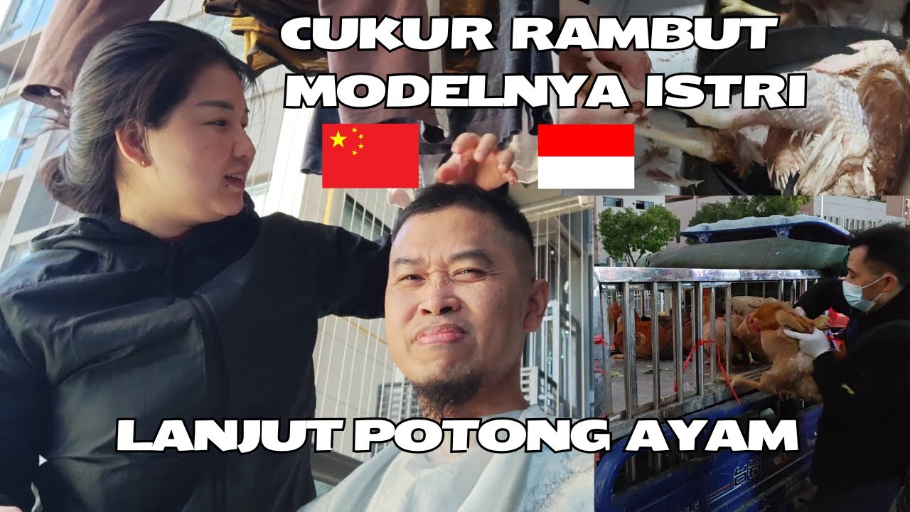 ISTRI Cukur Kayak Gini, Lanjut Potong Ayam Sebelum ke Guangzhou
