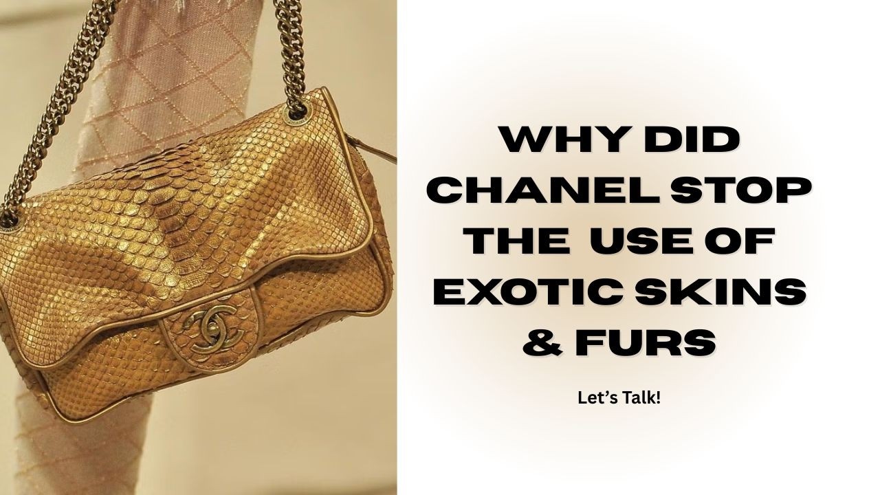 WHY DID CHANEL STOP THE USE OF EXOTIC SKINS & FURS | FASHION HISTORY | CHANEL