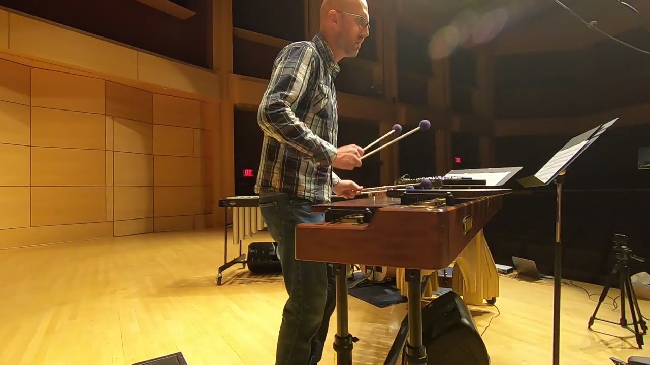 Originating Within by Nick Werth for Percussion Solo and  Electronic Track Performed by Rob Sanderl