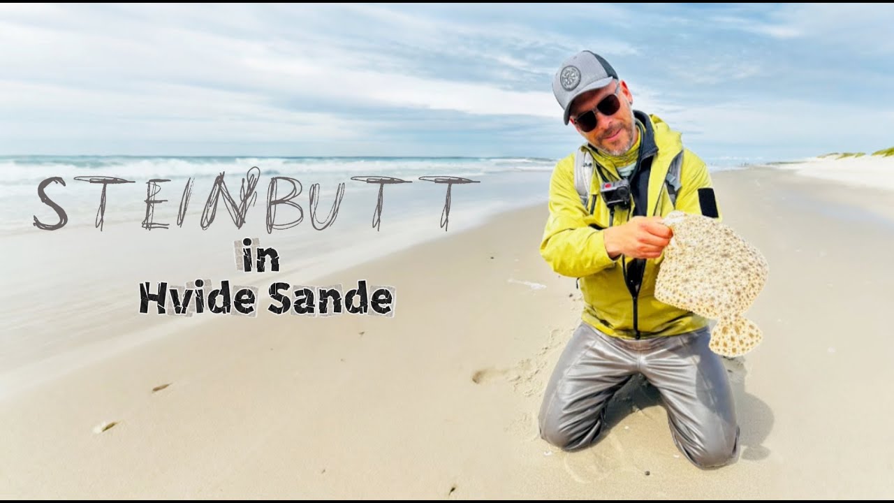 Steinbuttangeln in Hvide Sande