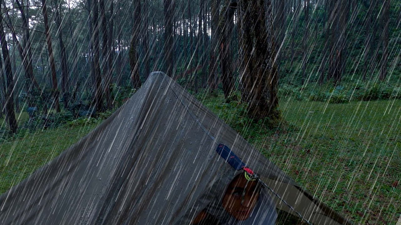 🔴 Solo Camping in Heavy Rain: Blissful Sound of Nature