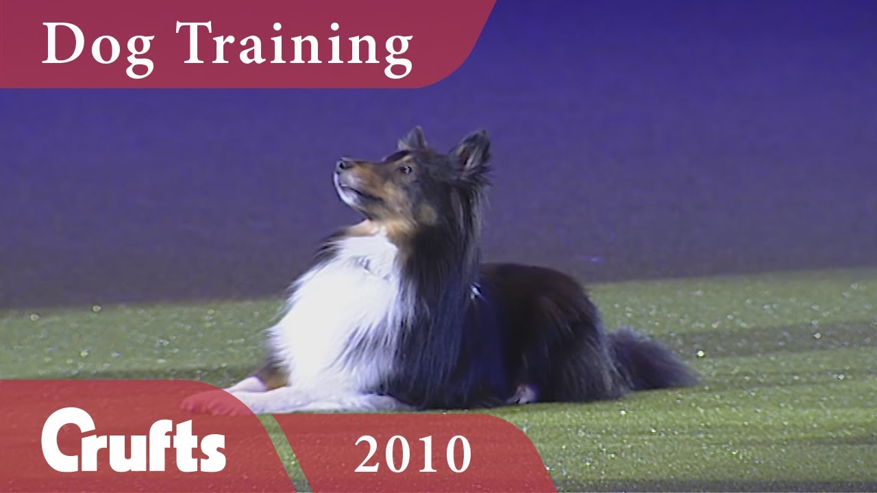 How to Train Your Dog with Mary Ray | Crufts Dog Show