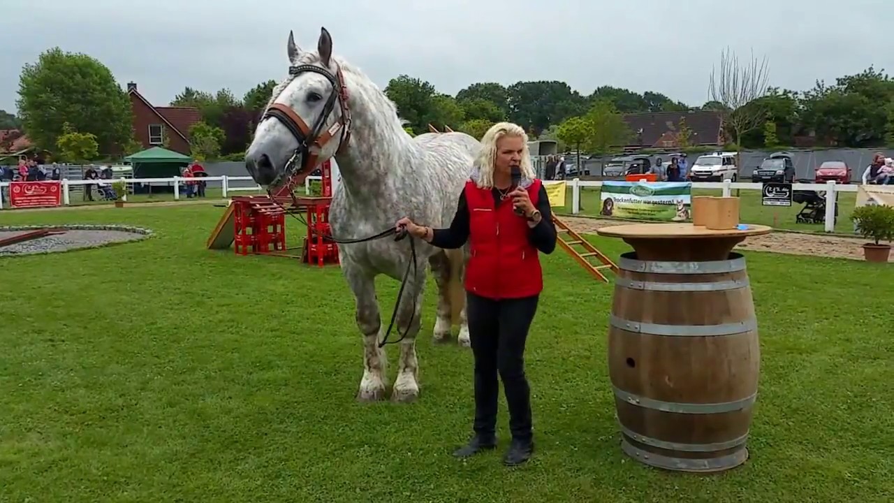 Neues vom Hankenhof - Geballte Kraft und ein starkes Team