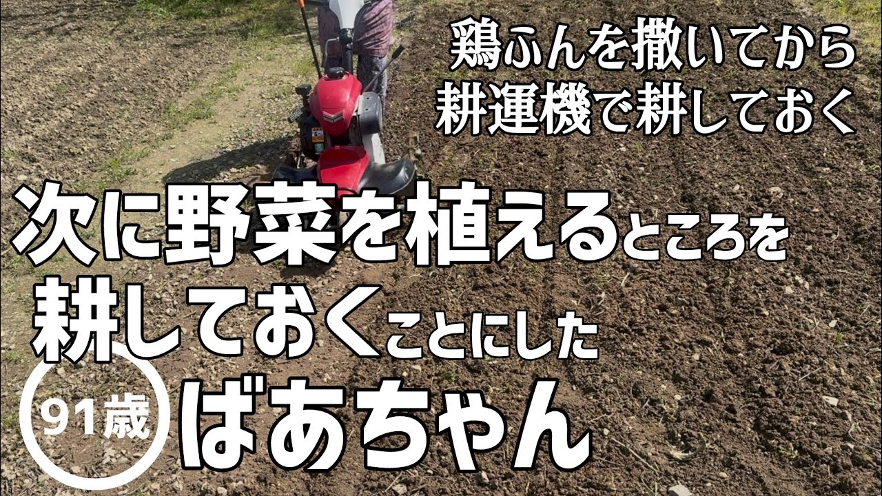 【畑仕事】次に野菜を植えるところを今のうちに耕しておくことにした91歳のばあちゃん【田舎暮らし】【vlog】
