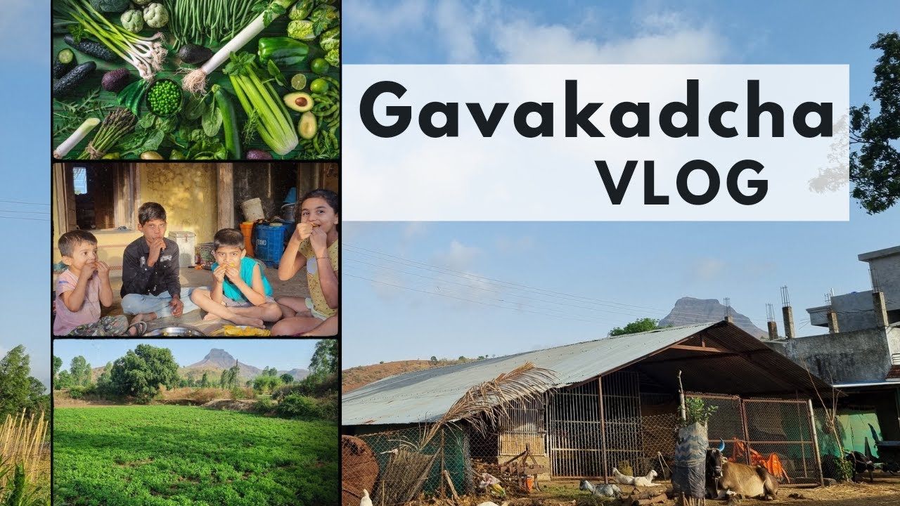 Gavakadcha Vlog - सुंदर गाव आणि शेती - भाजीपाला लागवड