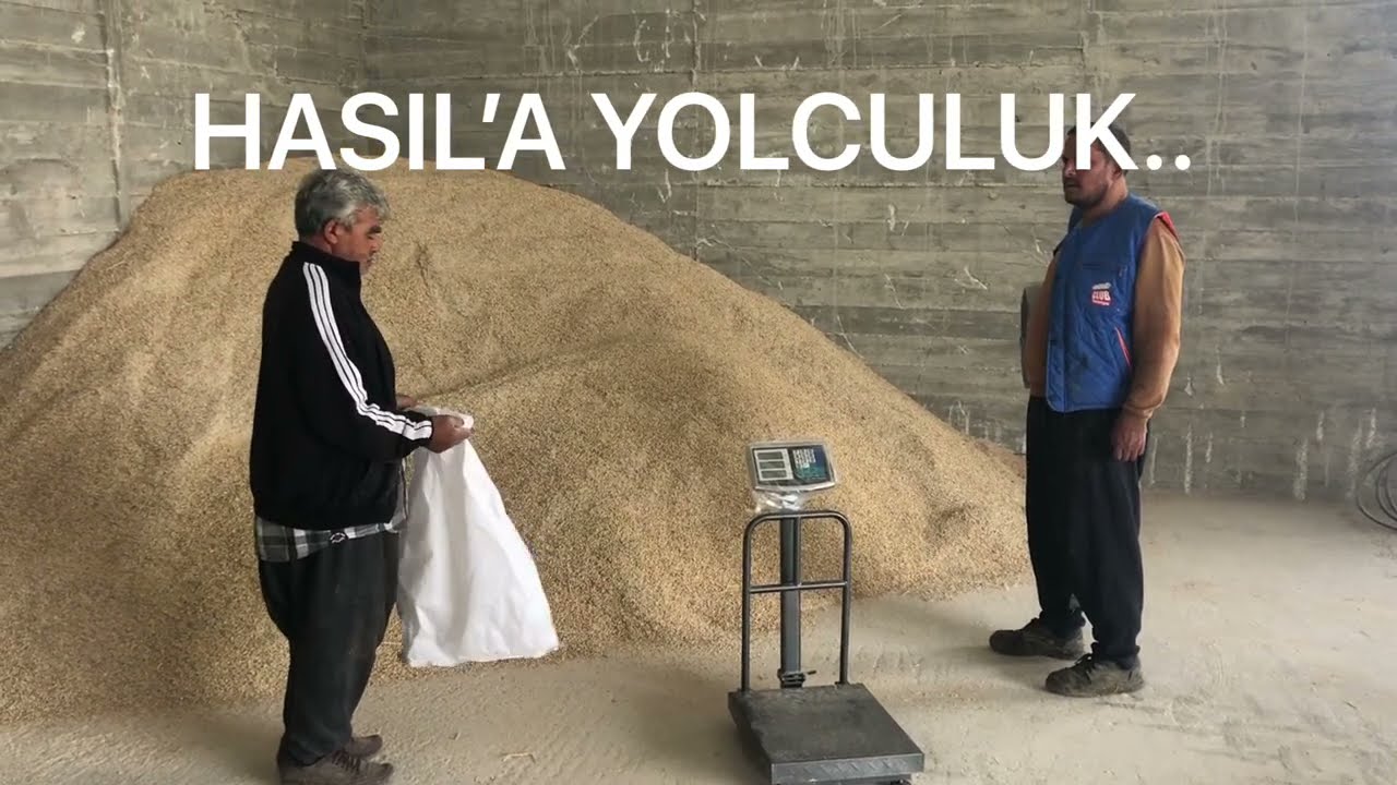 10 KG BESİ/SUT YEMİNDE NELER VAR VE ORANLARI ACIKLIYORUZ!!!