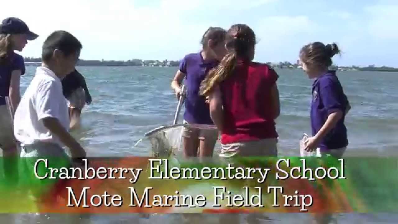 Education Spotlight - Cranberry Elementary School - Mote Marine Field Trip