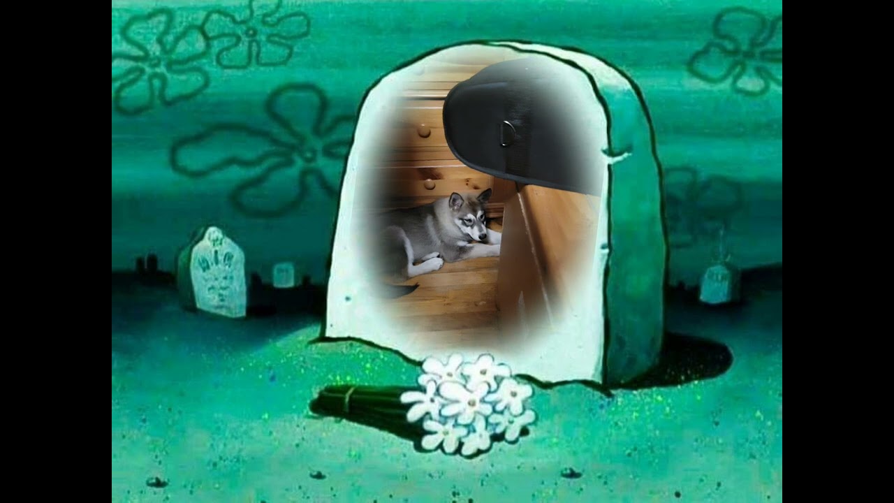 November 11, 2023
