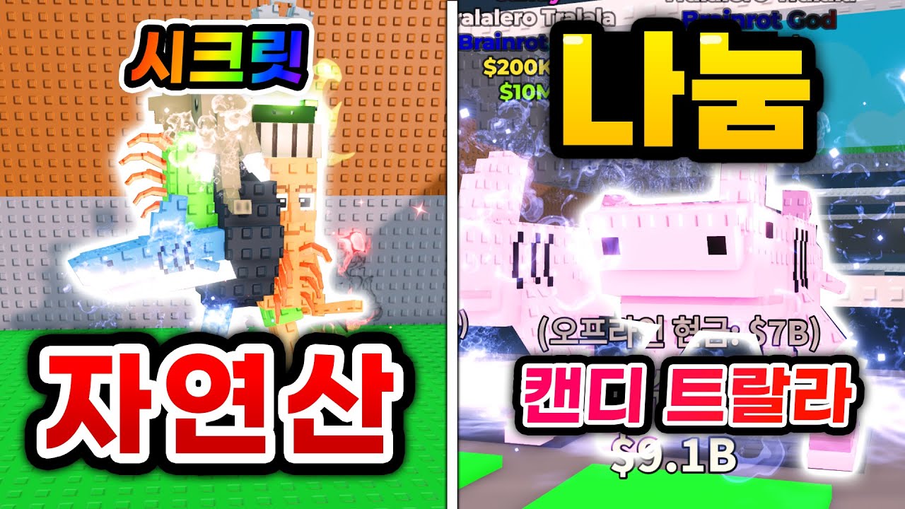 대박 시크릿이 나왔는데...이거 손해야 이득이야? ㅋㅋㅋ ㅠㅠ 이번엔 캔디트랄라도 나눔! (로블록스 브레인롯 훔치기)