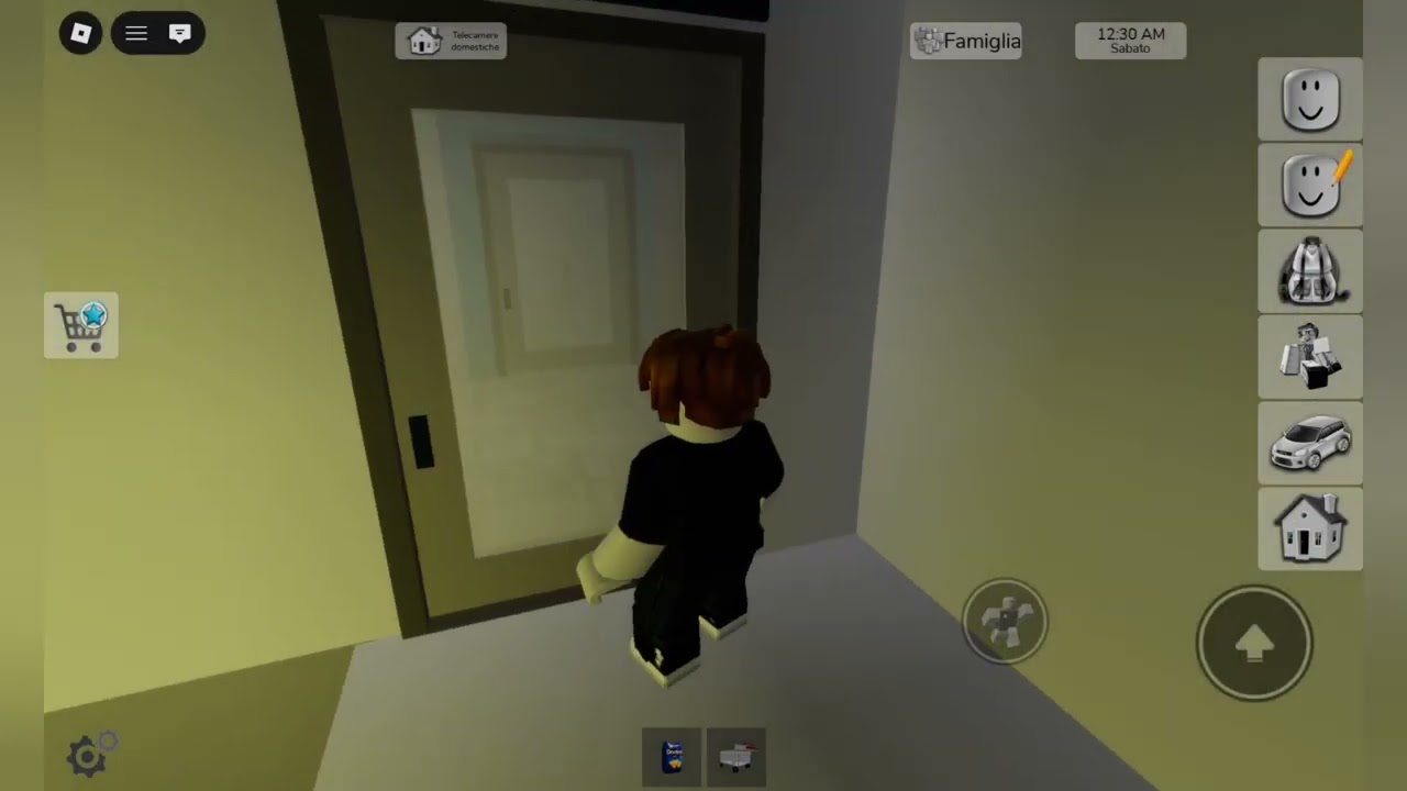 PRI A PUNTATA SU ROBLOX ( brookhaven )