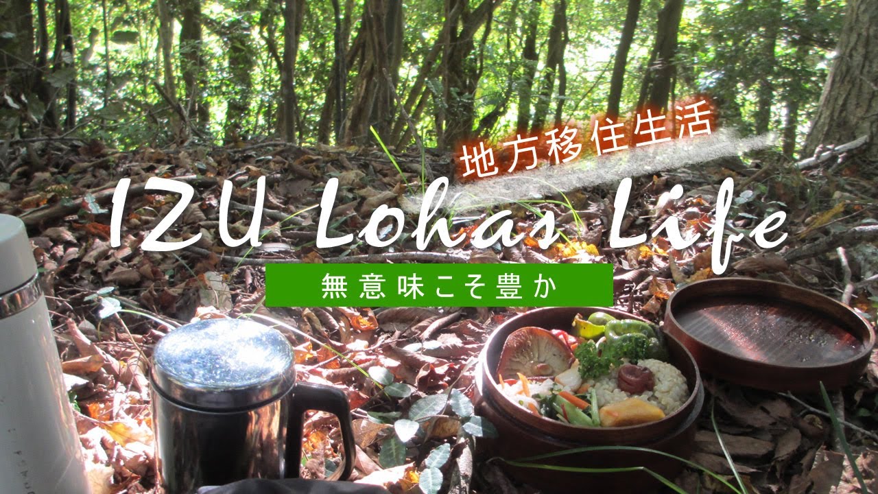 【地方移住生活】#51　無意味こそ豊か／秋の山歩き／修善寺／紅葉／イチョウ並木／Cafe #田舎暮らし #移住生活 #暮らしvlog