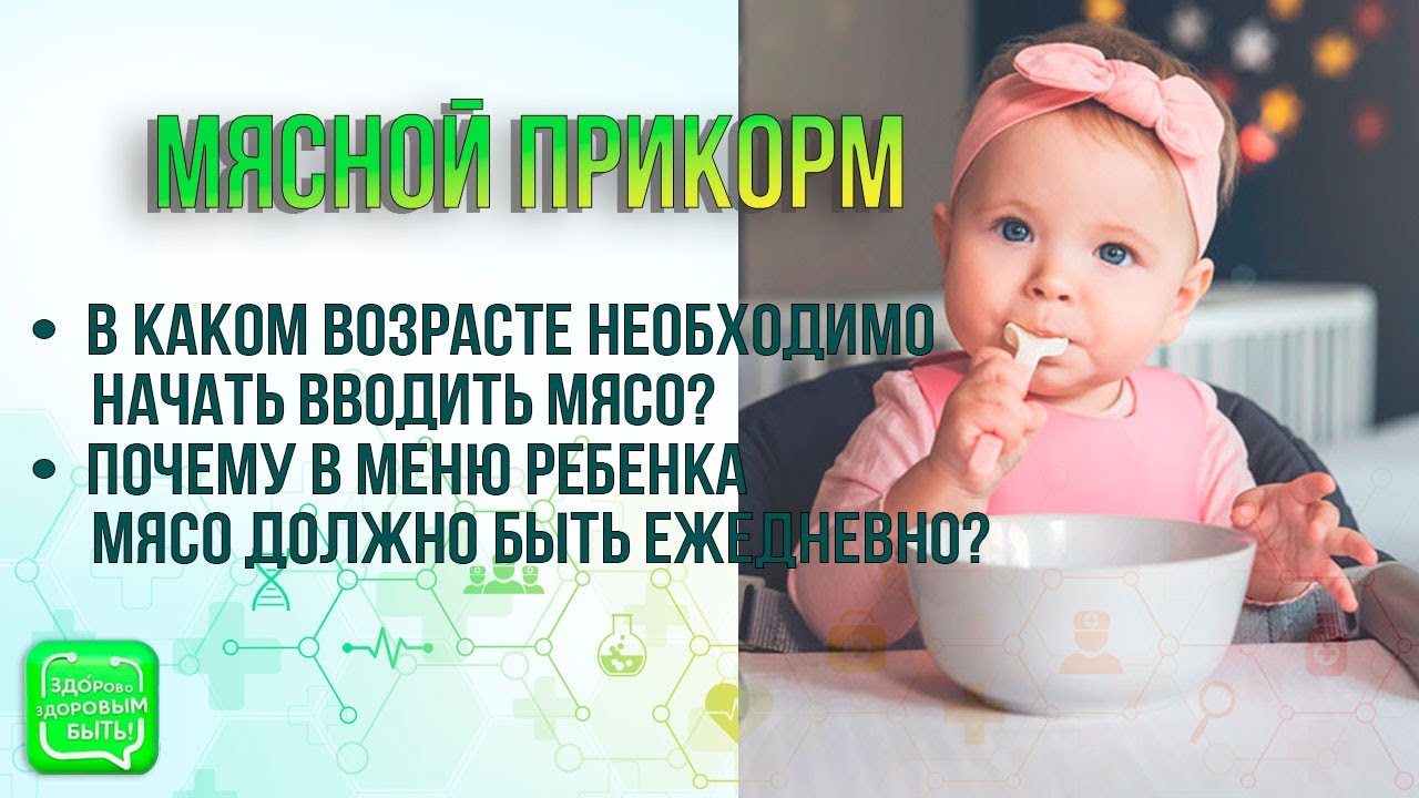 Мясной прикорм в меню ребенка | Важность животного белка