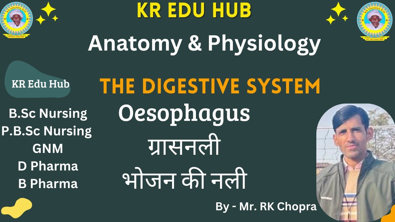 Oesophagus / Esophagus / Digestive System / पाचनतंत्र/ Gastrointestinal tract/ RK Chopra / @KREduHub