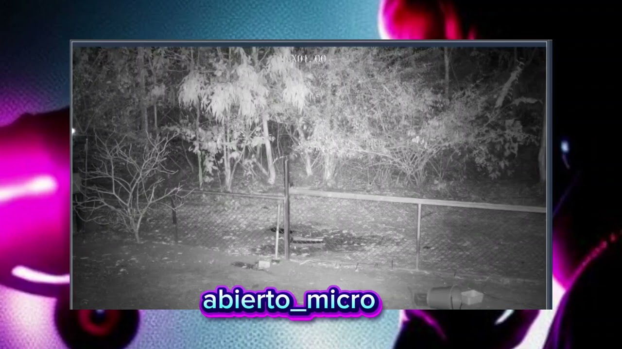 El fuego vuelve al Santuario Libertad.