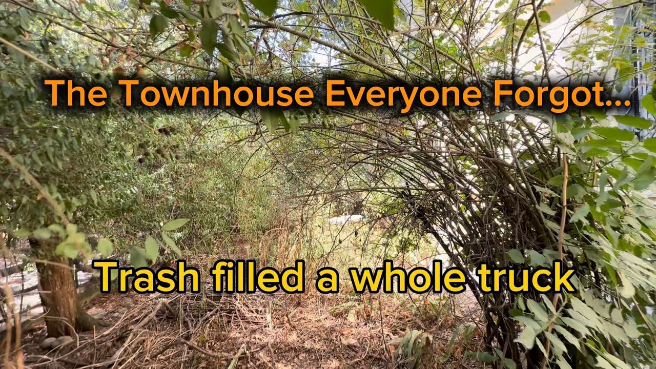 mall Townhouse Yard Rescue 🌿💪 | Weed Removal, Hedge Trim & Cleanup