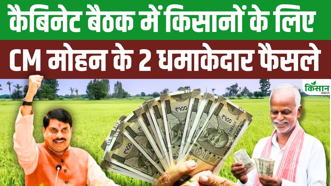 MP Cabinet का बड़ा फैसला, किसानों और महिलाओं को मिला तोहफा, CM Mohan Yadav के धमाकेदार ऐलान