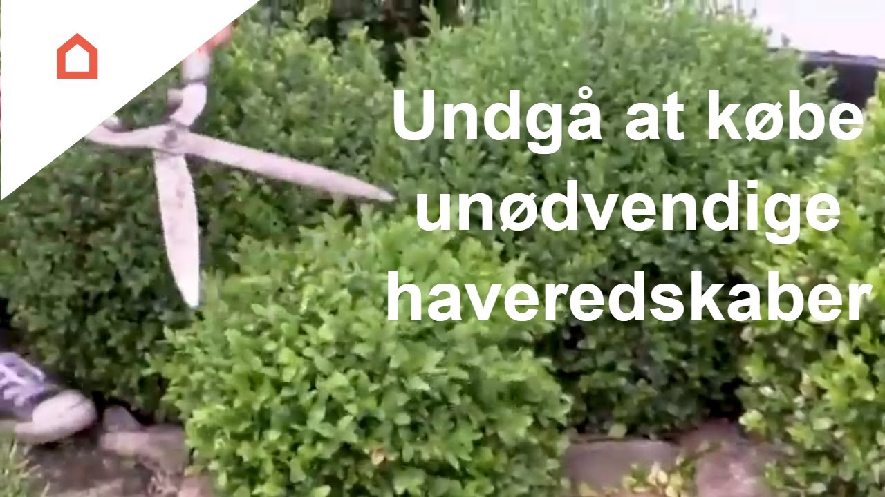 Her er de haveredskaber, du skal have i skuret