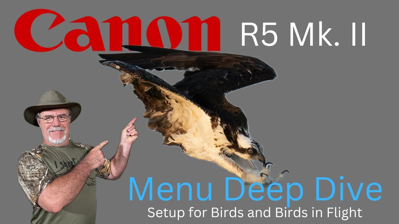 Canon R5 Mk. II Menu Setup for Birds and Birds in Flight Photography